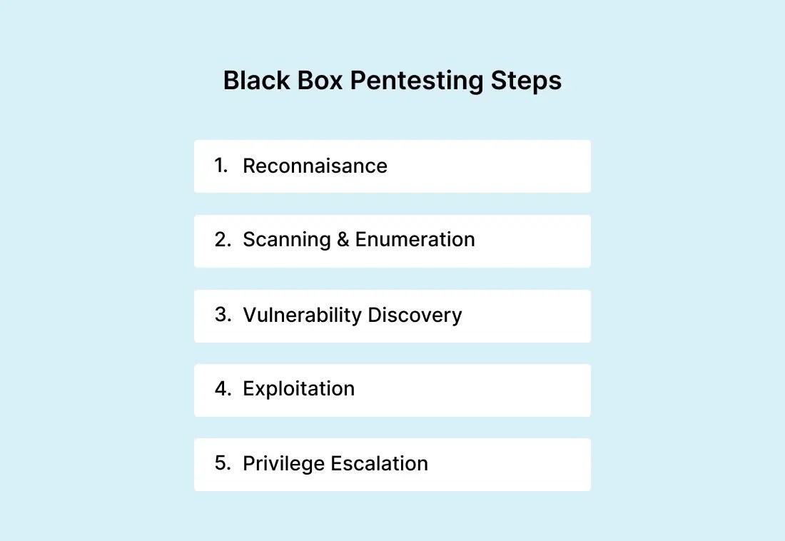Black Box Penetration Testing Guide 5 Techniques - 4K Nature Designs for Desktop